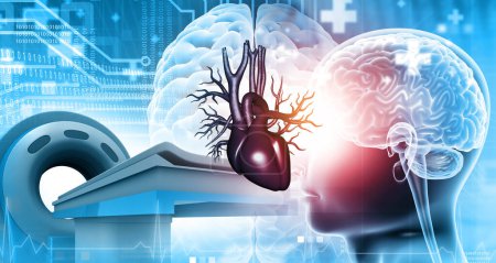 Téléchargez les photos : Coeur humain avec anatomie cérébrale avec IRM. Illustration 3d - en image libre de droit