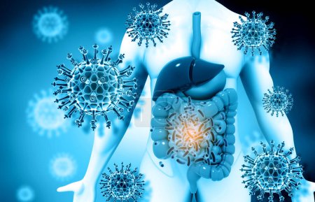 Téléchargez les photos : Anatomie du système digestif humain avec virus et bactéries. Illustration 3d - en image libre de droit