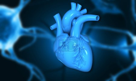 Téléchargez les photos : Anatomie cardiaque humaine sur fond scientifique. Illustration 3d - en image libre de droit