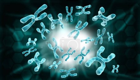 Photo for Chromosomes on scientific background. 3d illustration - Royalty Free Image