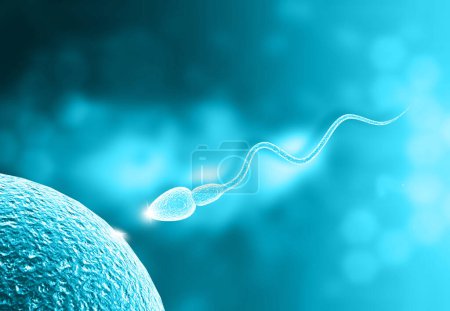 Photo for Sperm moving to egg. 3d illustration - Royalty Free Image