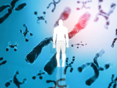 Photo for Chromosomes in human. 3d illustration - Royalty Free Image