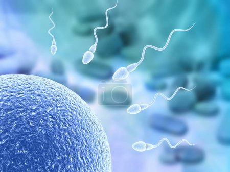 Foto de Ilustración 3D esperma humano y óvulo. ilustración 3d - Imagen libre de derechos