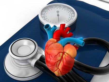 Photo for Human heart and stethoscope background. 3d illustration - Royalty Free Image