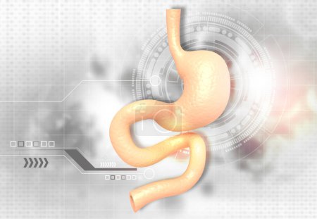 Téléchargez les photos : Anatomie de l'estomac humain sur fond numérique. Illustration 3d - en image libre de droit
