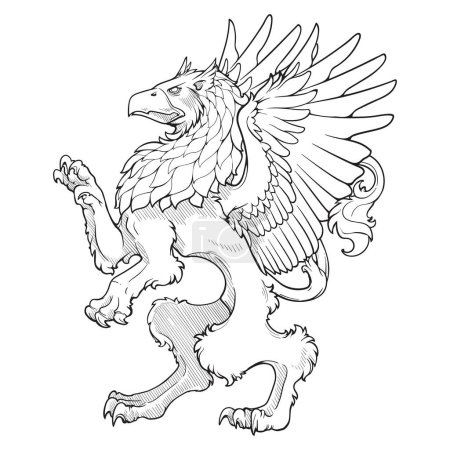 Illustration for Heraldic Griffin walking on hind legs. Heraldic supporter a part of a Coat of Arms. Black line drawing isolated on white background. EPS10 vector illustration. - Royalty Free Image