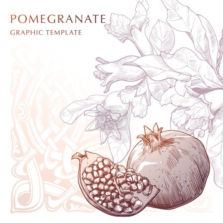Illustration for Pomegranate fruit and leaves with a traditional Georgian ornament on the background. Decorative background. Sketch style drawing isolated on white background. EPS10 vector illustration. - Royalty Free Image