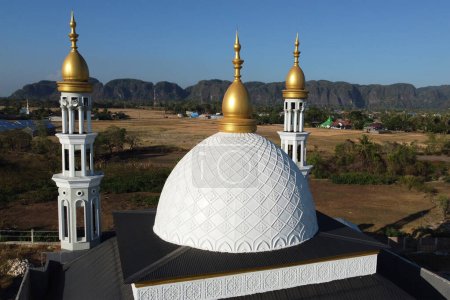The appearance of a luxurious artistic mosque is a charming combination of luxury