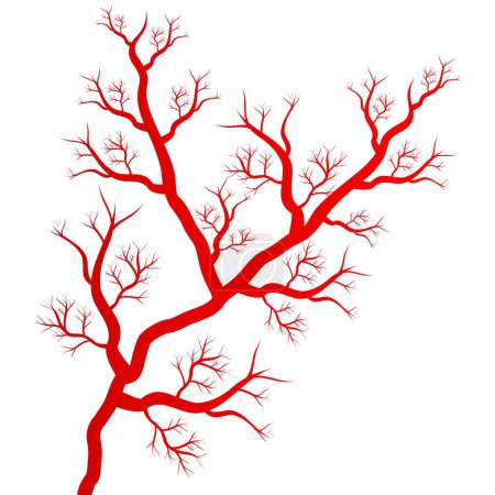 Human red veins illustration