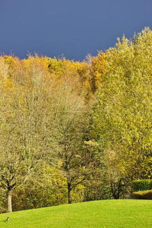 Photo for Autumn landscape in the park, on a stormy weather day - Royalty Free Image