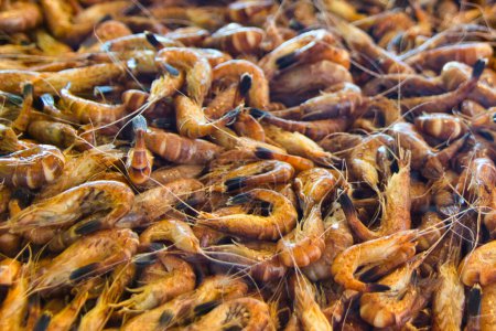 Téléchargez les photos : Exposition de crevettes crues au marché aux poissons de la mer du Nord : gros plan - en image libre de droit