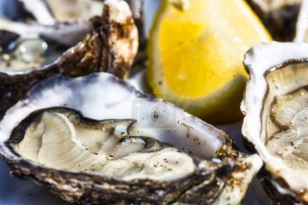 Téléchargez les photos : Macro photographie gastronomique avec huîtres ouvertes et une tranche de citron sur une table par une journée ensoleillée - en image libre de droit
