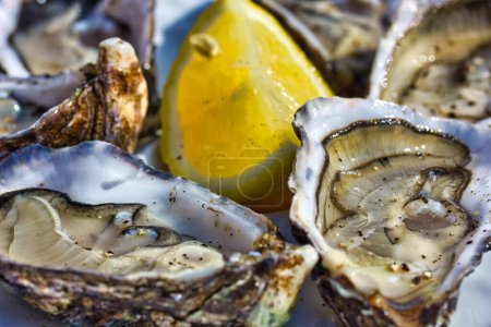 Gourmet macro photography with open oysters and a slice of lemon on a table in a sunny day 