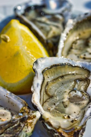Photo for Gourmet macro photography with open oysters and a slice of lemon on a table in a sunny day - Royalty Free Image