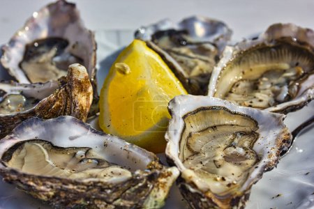 Foto de Las ostras en el plato: el primer plano - Imagen libre de derechos
