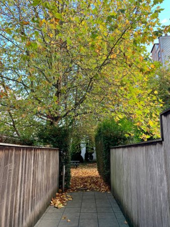 Foto de Paisaje de otoño con árboles y hojas en un jardín - Imagen libre de derechos