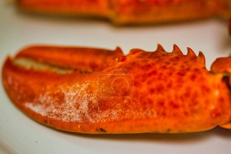 Photo for Close up of lobster tong at a table: luxurious dinner served at the restaurant - Royalty Free Image