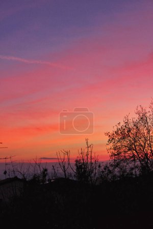 Photo for Purple and orange sunset in the countryside: landscape with tree tops and roofs - Royalty Free Image