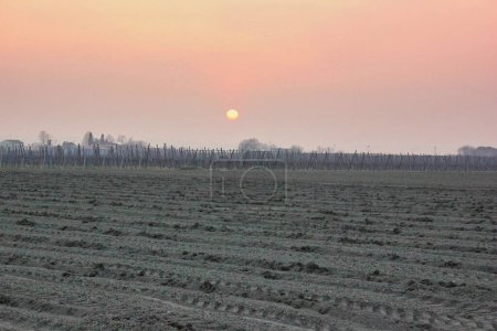 Téléchargez les photos : Lumière douce dans un magnifique coucher de soleil à la campagne - en image libre de droit