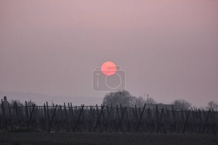 Téléchargez les photos : Toutes les nuances de gris et un soleil rond rouge : coucher de soleil sur les champs - en image libre de droit