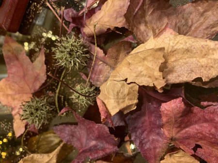 Foto de Fondo de texturas de temporada agradable, con hojas secas - Imagen libre de derechos