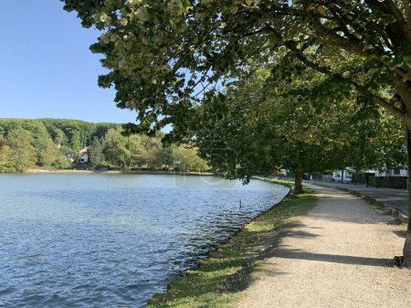 Téléchargez les photos : Paysage lacustre en Belgique à Genval : un sentier, un grand arbre et l'eau bleue - en image libre de droit