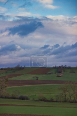 Téléchargez les photos : Un plan vertical d'un champ vert et d'arbres sous un ciel nuageux - en image libre de droit