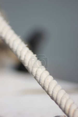 Téléchargez les photos : Rope close up: diagonal line - en image libre de droit