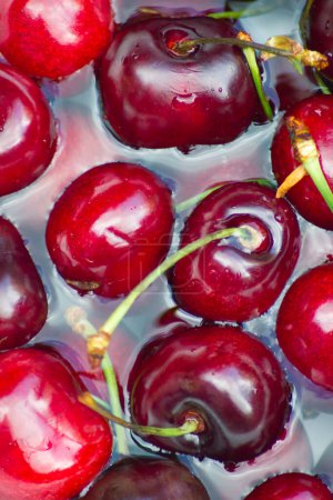 Photo for Cherries in water droplets - Royalty Free Image