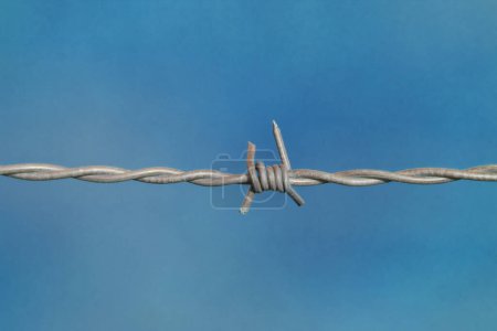 Téléchargez les photos : Macro phtography of wire fence on sky background - en image libre de droit