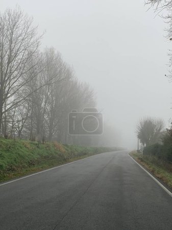 Téléchargez les photos : Une route de campagne avec des arbres et de l'herbe des deux côtés dans un matin brumeux - en image libre de droit