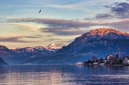 Téléchargez les photos : Magnifique vue sur un lac au crépuscule : l'eau, les montagnes, le coucher du soleil et un oiseau - en image libre de droit