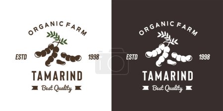 Illustration for Vintage tamarind fruit logo illustration suitable for fruit shop and fruit farm - Royalty Free Image