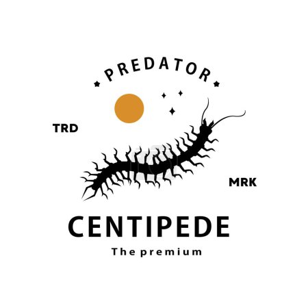 Illustration for Vintage retro hipster centipede logo vector outline silhouette art icon - Royalty Free Image