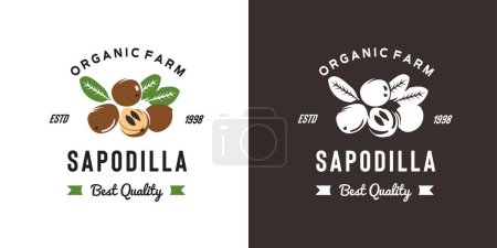 Téléchargez les illustrations : Illustration vintage de logo de fruits de sapodilla approprié pour le magasin de fruits et la ferme de fruits - en licence libre de droit