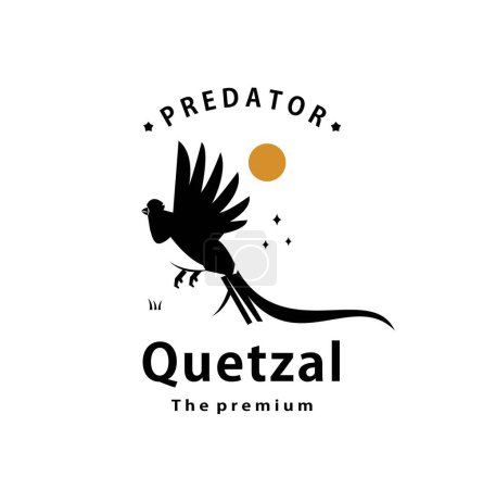 vintage retro hipster quetzal logo vector outline silhouette art icon