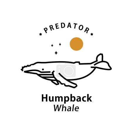 Illustration for Vintage retro hipster humpback whale logo vector outline monoline art icon - Royalty Free Image