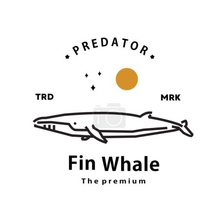 Illustration for Vintage retro hipster fin whale logo vector outline monoline art icon - Royalty Free Image