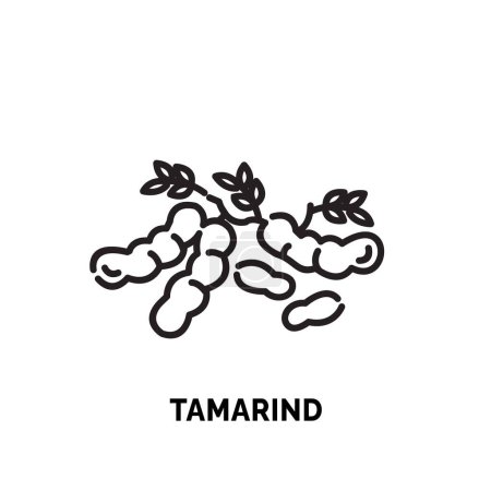 Illustration for Lineart tamarind logo illustration suitable for fruit shop and fruit farm - Royalty Free Image