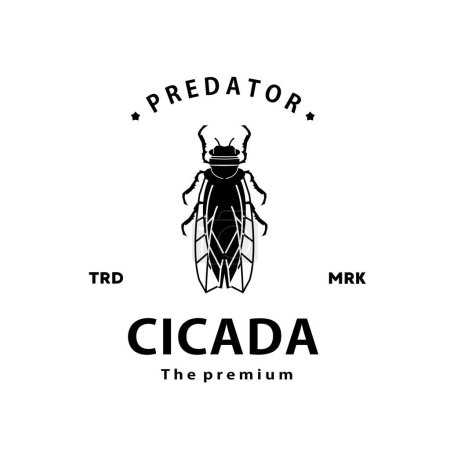vintage retro hipster cicada logo vector outline silhouette art icon
