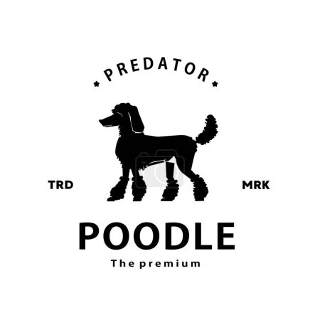 Illustration for Vintage retro hipster poodle logo vector outline silhouette art icon - Royalty Free Image