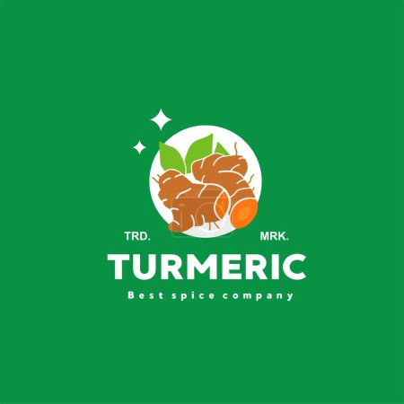  Vektor-Illustration des Kurkuma-Gewürz-Logos, Kurkuma-Küchengewürz für die Kochindustrie