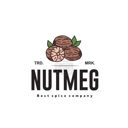 vector illustration of the nutmeg spice logo icon, nutmeg kitchen spice for the cooking industry