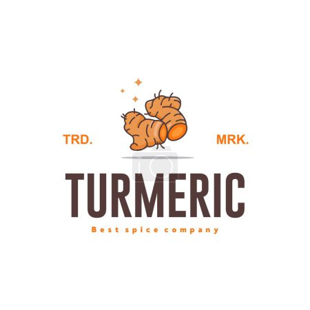 Vektor-Illustration des Kurkuma-Gewürz-Logos, Kurkuma-Küchengewürz für die Kochindustrie