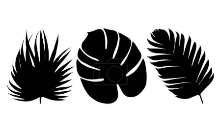 Tropical leaves vector. Set of palm leaves silhouettes isolated on white background. Vector illustration