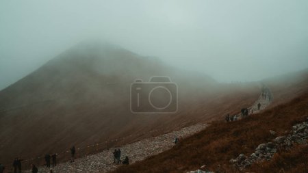 Photo for Mountains veiled in mystery: A majestic peak stands silent and sublime, adorned in a soft embrace of ethereal fog, inviting contemplation and evoking the magic of unseen heights. - Royalty Free Image