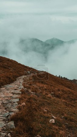 Photo for Lost in the whispers of mist: A mountain shrouded in gentle fog, with small trails meandering through the mysterious landscape, inviting exploration into the heart of nature's captivating embrace. - Royalty Free Image