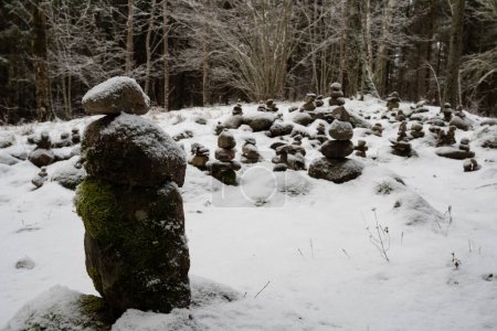 Téléchargez les photos : Dans l'étreinte de la forêt enneigée, des rochers empilés ornés de neige et de mousse sont les gardiens d'un monde mystique à Dobele, en Lettonie.. - en image libre de droit