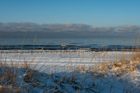 Téléchargez les photos : Toile de nature peinte en or et neige, une fusion à couper le souffle le long de la mer d'hiver. - en image libre de droit