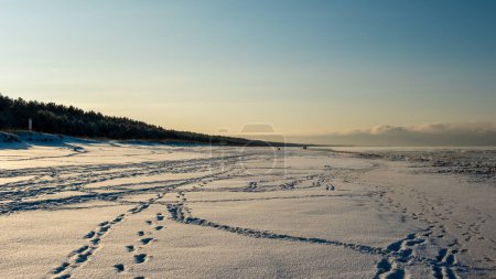 Téléchargez les photos : Lorsque les rayons dorés caressent le bord de la mer hivernale, une symphonie sereine de la nature émerge. - en image libre de droit